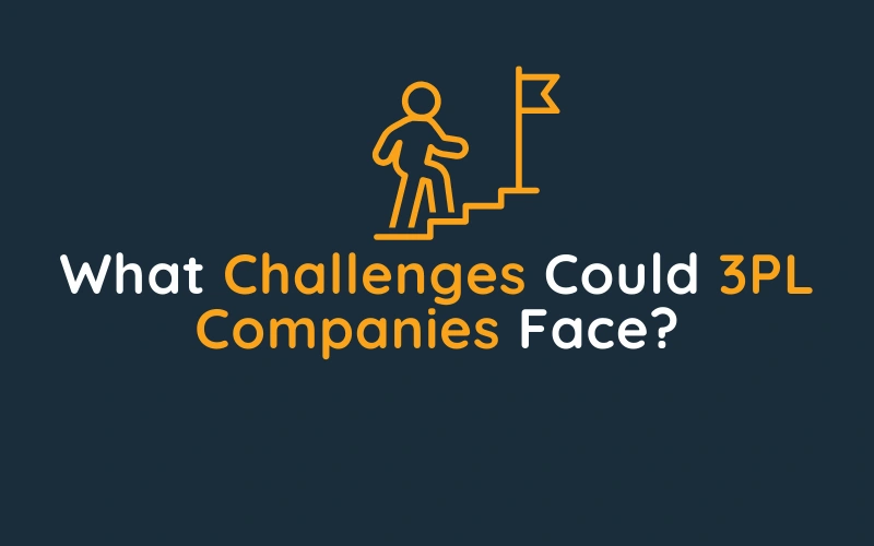 What Challenges Could 3PL Companies Face