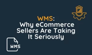 Why eCommerce Sellers Are Taking It Seriously
